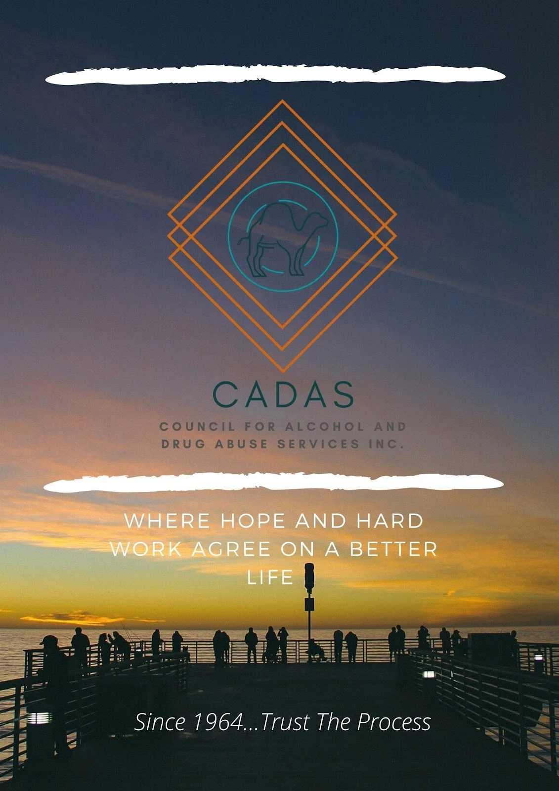 Council for Alcohol - DA Services (CADAS)